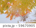初冬の湖畔（７） 59670905