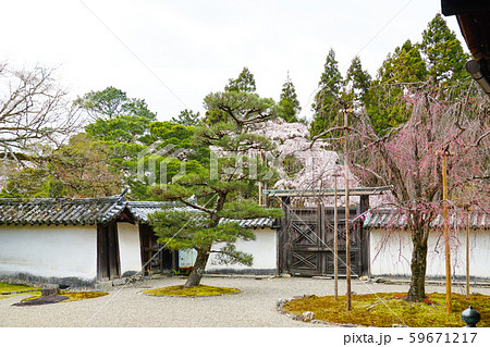 醍醐寺 三宝院 醍醐寺 三宝院 59671217