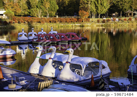 （長野県）蓼科湖　レジャーランドのスワン型ボート 59671484