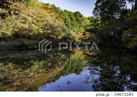 紅葉 紅葉 59672085