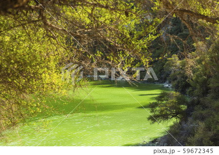 ニュージーランド ワイ・オ・タプ Lake Ngakoro ニュージーランド ワイ・オ・タプ Lake Ngakoro 59672345