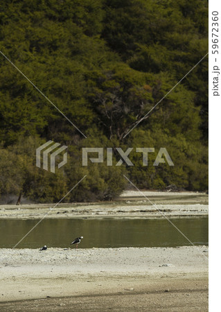 ニュージーランド　ワイ・オ・タプ 59672360