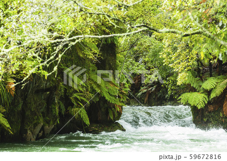 ニュージーランド ロトルア トラウト・プールズ・フォールズ ニュージーランド ロトルア トラウト・プールズ・フォールズ 59672816