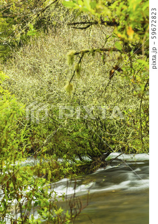 ニュージーランド ロトルア トラウト・プールズ・フォールズ ニュージーランド ロトルア トラウト・プールズ・フォールズ 59672823