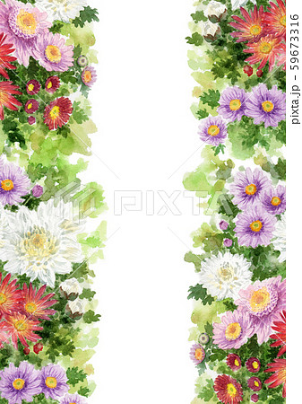 水彩で描いたいろいろな小菊のフレーム素材 59673316
