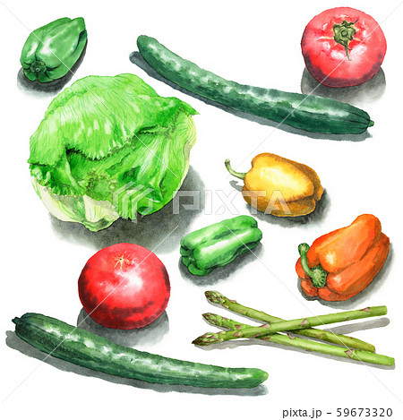 水彩で描いたサラダ野菜のイラスト素材