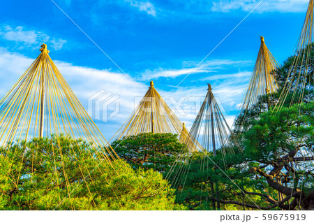 兼六園　雪吊　昼　【石川県】 59675919