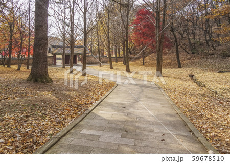 栗谷李珥 坡州この遺跡 坡州市 59678510