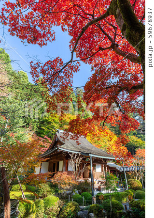 秋の寂光院 秋の寂光院 59678937