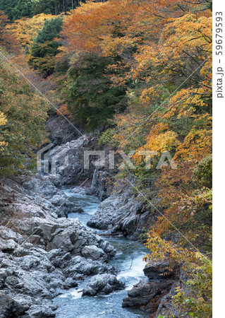 南秋川渓谷 秋景の写真素材