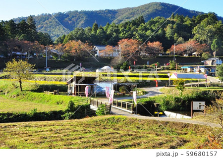 滋賀県長浜市木之本町古橋 鶏足寺への散策路 滋賀県長浜市木之本町古橋 鶏足寺への散策路 59680157