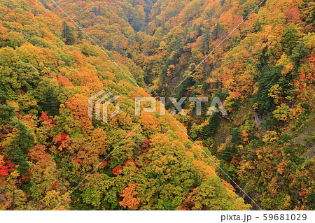 【青森県】錦秋の城ヶ倉渓流 59681029