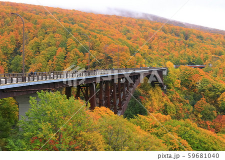 【青森県】錦秋の城ケ倉大橋 59681040