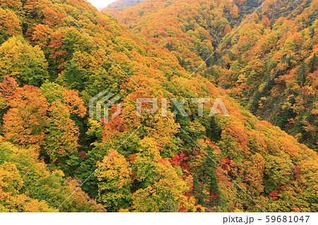 【青森県】錦秋の城ヶ倉渓流 【青森県】錦秋の城ヶ倉渓流 59681047