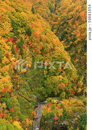【青森県】錦秋の城ヶ倉渓流 【青森県】錦秋の城ヶ倉渓流 59681054