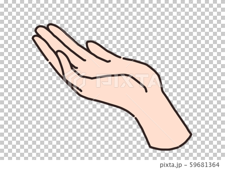 palm palm 59681364