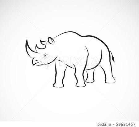 Vector of rhinoceros on a white background. Vector of rhinoceros on a white background. 59681457