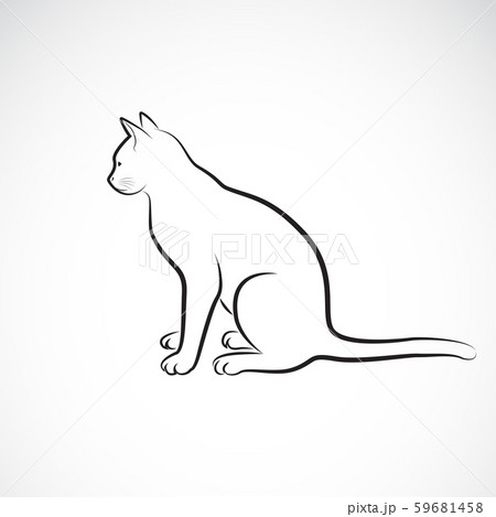 Vector of sitting cat on a white background. Pet. Vector of sitting cat on a white background. Pet. 59681458