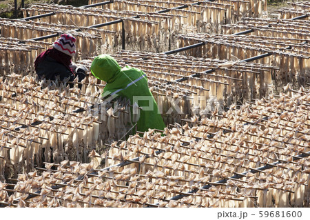 江原道 人 人間 59681600