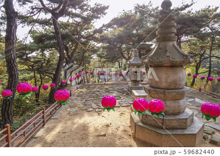 洋酒フェアムサか 揚州市 京畿道 59682440