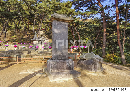 洋酒フェアムサか 揚州市 京畿道 59682443