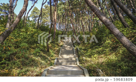 神勒寺 驪州市 京畿道 59683809