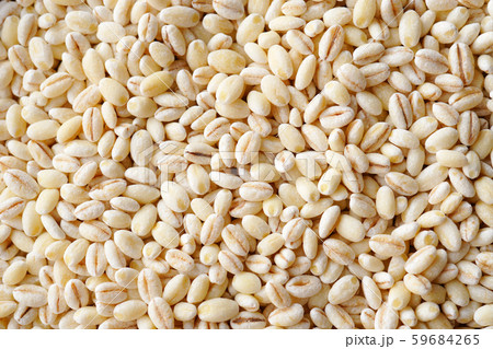 もち麦 59684265