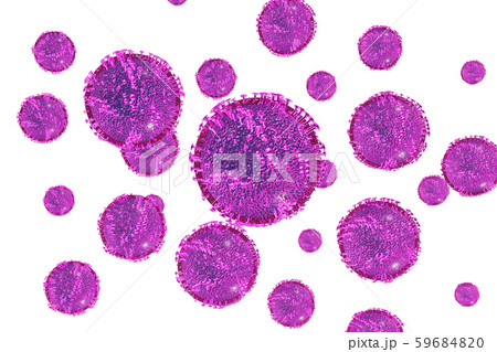 インフルエンザのイラスト（白バック） 59684820