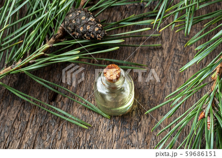 A bottle of pine essential oil with pine branches 59686151