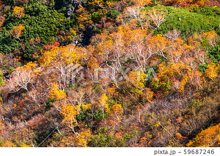 《長野県》紅葉の乗鞍岳・自然風景 《長野県》紅葉の乗鞍岳・自然風景 59687246