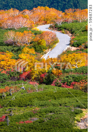 《長野県》紅葉の乗鞍岳・自然風景 《長野県》紅葉の乗鞍岳・自然風景 59687283