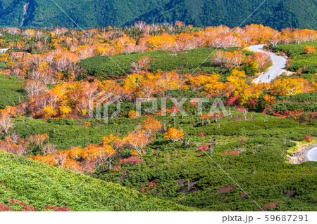 《長野県》紅葉の乗鞍岳・自然風景 《長野県》紅葉の乗鞍岳・自然風景 59687291