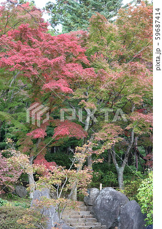 筑波山　紅葉 59687414