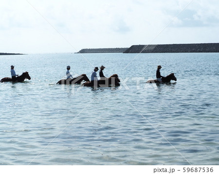 与那国島(海中乗馬) 与那国島(海中乗馬) 59687536
