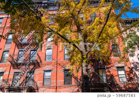《ニューヨーク》ロウアーマンハッタン・グリニッジビレッジの住宅街 《ニューヨーク》ロウアーマンハッタン・グリニッジビレッジの住宅街 59687583