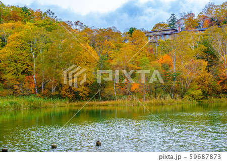 志賀高原の紅葉【長野県・丸池】 志賀高原の紅葉【長野県・丸池】 59687873