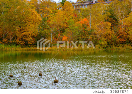 志賀高原の紅葉【長野県・丸池】 59687874