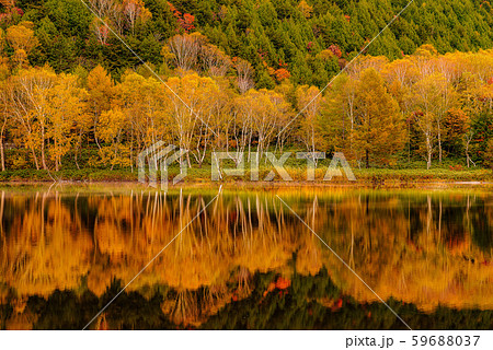 志賀高原の紅葉 長野県 木戸池 の写真素材