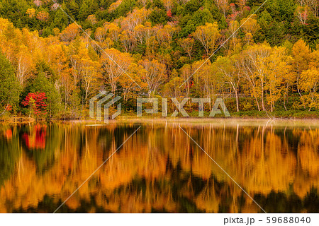 志賀高原の紅葉【長野県・木戸池】 志賀高原の紅葉【長野県・木戸池】 59688040