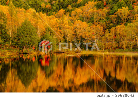 志賀高原の紅葉【長野県・木戸池】 志賀高原の紅葉【長野県・木戸池】 59688042