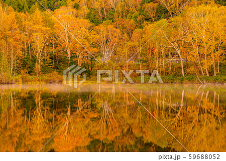 志賀高原の紅葉【長野県・木戸池】 59688052