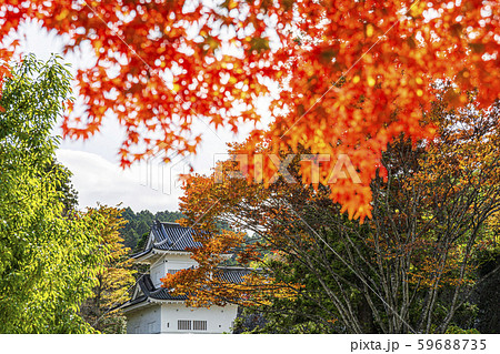 秋探し仙台城址（脇櫓） 59688735