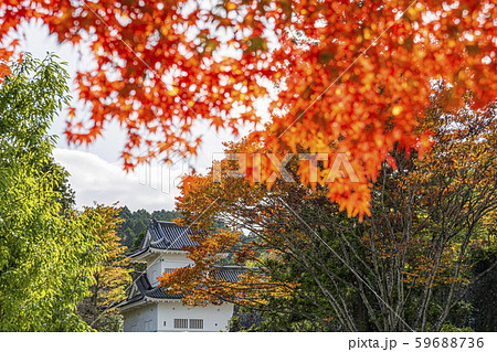 秋探し仙台城址（脇櫓） 59688736