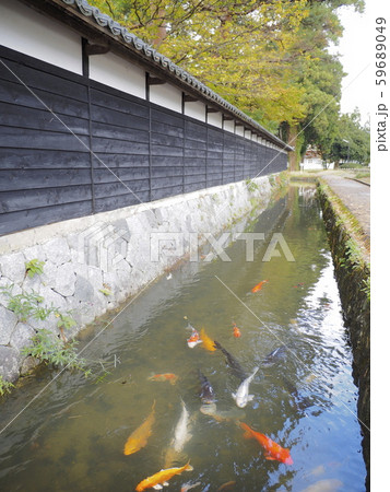 重要文化財渡辺邸の黒塀とお堀【新潟県関川村】 重要文化財渡辺邸の黒塀とお堀【新潟県関川村】 59689049
