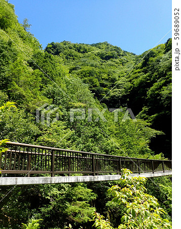 みたらい渓谷哀伝橋 59689052