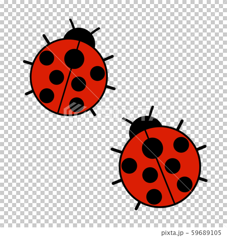 Two ladybugs - Stock Illustration [59689105] - PIXTA