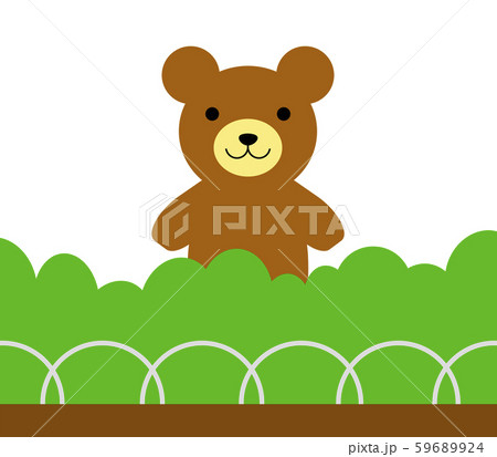 ひょっこり顔を出すクマ ひょっこり顔を出すクマ 59689924