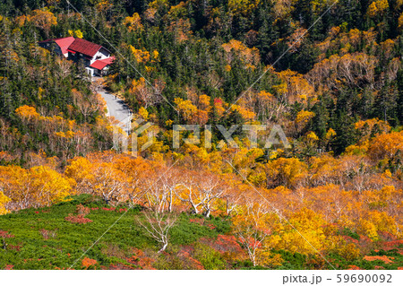 《長野県》紅葉の乗鞍岳・自然風景 59690092