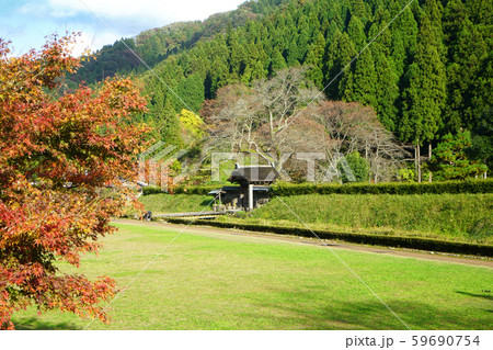 朝倉遺跡　唐門　日本遺産　紅葉 59690754