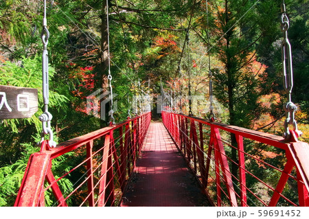 秋のべふ境　紅葉の名所 59691452